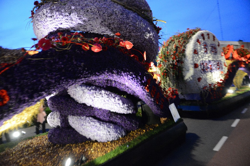 ../Images/Bloemencorso 2015 169.jpg